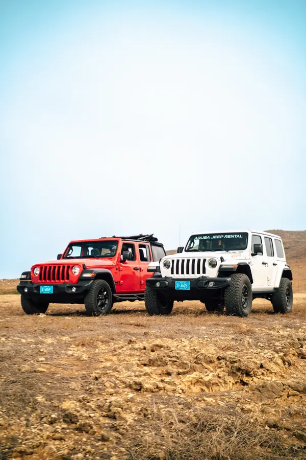 Jeeps de EFE en las colinas de Arikok